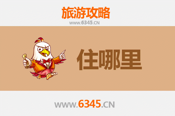 新乡旅游民宿全攻略：沉浸式体验南太行风情与牧野文化